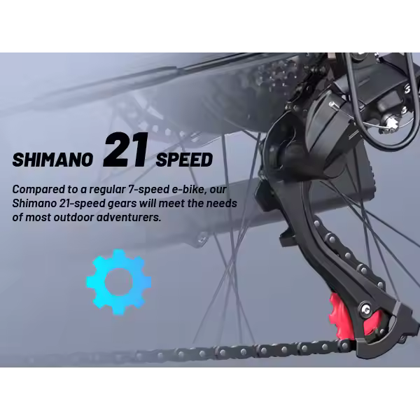 Duotts-Vélo tout-terrain électrique DUOTTS C29 - 2*48V/15Ah Double batterie - 21 vitesse SHIMANO - Roue 29x2.1’’ - 100km d'autonomie - Avec App